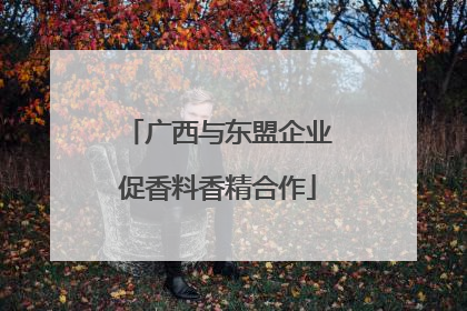 广西与东盟企业促香料香精合作