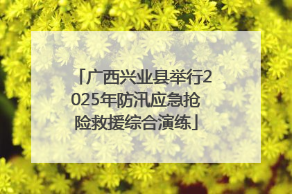 广西兴业县举行2025年防汛应急抢险救援综合演练