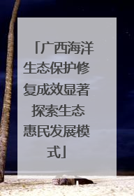 广西海洋生态保护修复成效显著 探索生态惠民发展模式
