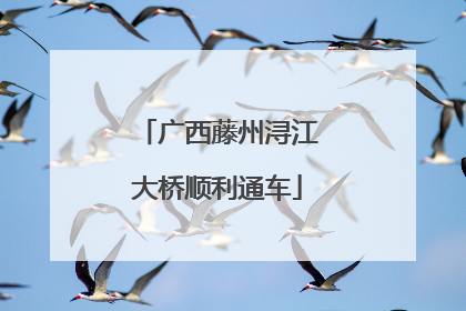 广西藤州浔江大桥顺利通车