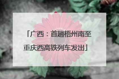 广西：首趟梧州南至重庆西高铁列车发出