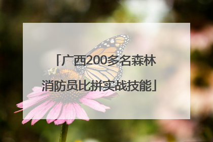 广西200多名森林消防员比拼实战技能