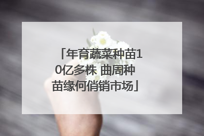 年育蔬菜种苗10亿多株 曲周种苗缘何俏销市场