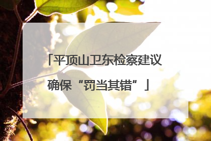 平顶山卫东检察建议确保“罚当其错”