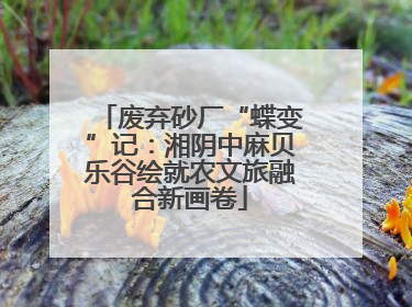 废弃砂厂“蝶变”记：湘阴中麻贝乐谷绘就农文旅融合新画卷