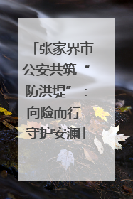 张家界市公安共筑“防洪堤”：向险而行 守护安澜