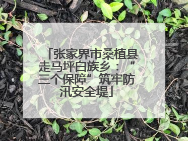 张家界市桑植县走马坪白族乡：“三个保障”筑牢防汛安全堤