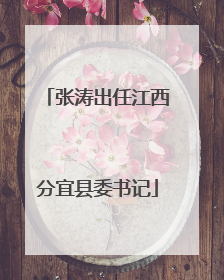 张涛出任江西分宜县委书记