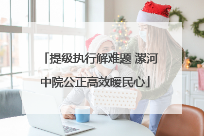 提级执行解难题 漯河中院公正高效暖民心
