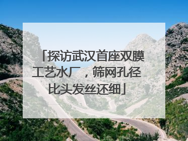 探访武汉首座双膜工艺水厂，筛网孔径比头发丝还细