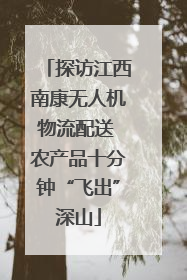 探访江西南康无人机物流配送 农产品十分钟“飞出”深山
