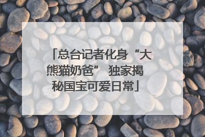总台记者化身“大熊猫奶爸” 独家揭秘国宝可爱日常