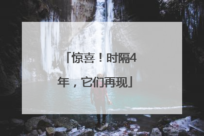 惊喜！时隔4年，它们再现