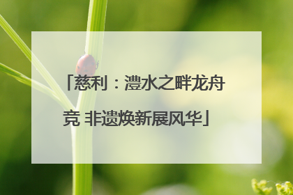 慈利：澧水之畔龙舟竞 非遗焕新展风华