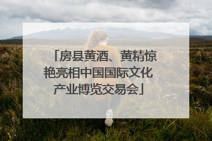房县黄酒、黄精惊艳亮相中国国际文化产业博览交易会