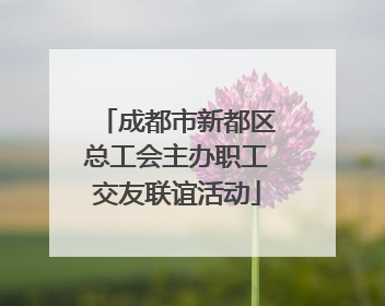 成都市新都区总工会主办职工交友联谊活动