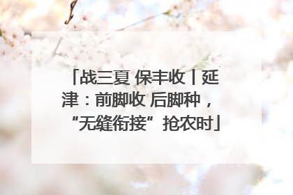 战三夏 保丰收丨延津：前脚收 后脚种，“无缝衔接”抢农时