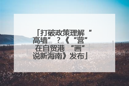 打破政策理解“高墙”？《“营”在自贸港 “画”说新海南》发布