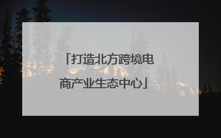 打造北方跨境电商产业生态中心