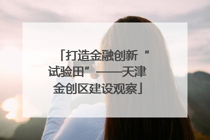 打造金融创新“试验田”——天津金创区建设观察