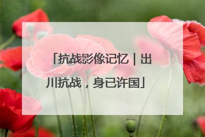 抗战影像记忆｜出川抗战，身已许国