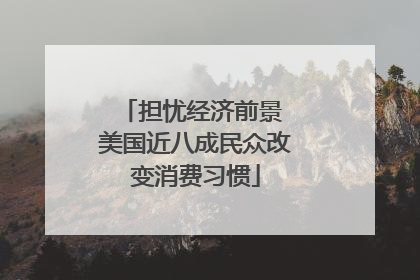 担忧经济前景 美国近八成民众改变消费习惯