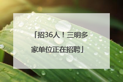 招36人！三明多家单位正在招聘