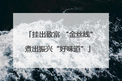 挂出致富 “金丝线” 煮出振兴“好味道”
