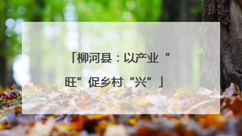柳河县：以产业“旺”促乡村“兴”