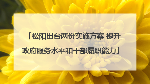 松阳出台两份实施方案 提升政府服务水平和干部履职能力
