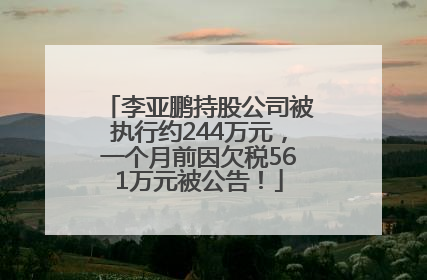 李亚鹏持股公司被执行约244万元，一个月前因欠税561万元被公告！