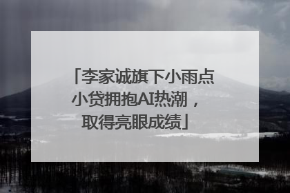 李家诚旗下小雨点小贷拥抱AI热潮，取得亮眼成绩