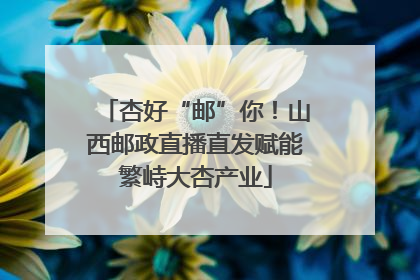 杏好“邮”你！山西邮政直播直发赋能繁峙大杏产业