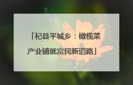 杞县平城乡：橄榄菜产业铺就富民新道路