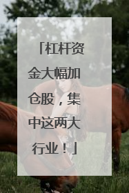 杠杆资金大幅加仓股，集中这两大行业！