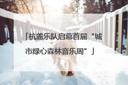 杭盖乐队启幕首届“城市绿心森林音乐周”
