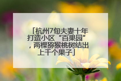 杭州7旬夫妻十年打造小区“百果园”，两棵猕猴桃树结出上千个果子