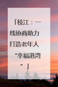 枝江：一线协商助力打造老年人“幸福港湾”