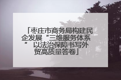 枣庄市商务局构建民企发展“三维服务体系” 以法治保障书写外贸高质量答卷