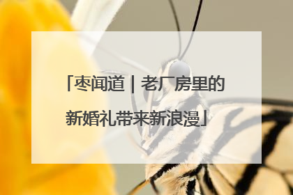 枣闻道｜老厂房里的新婚礼带来新浪漫