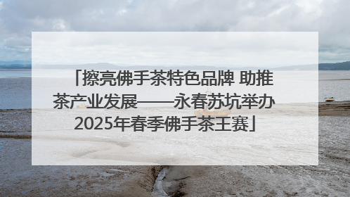 擦亮佛手茶特色品牌 助推茶产业发展——永春苏坑举办2025年春季佛手茶王赛