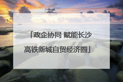 政企协同 赋能长沙高铁新城自贸经济圈