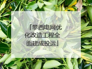 攀西电网优化改造工程全面建成投运