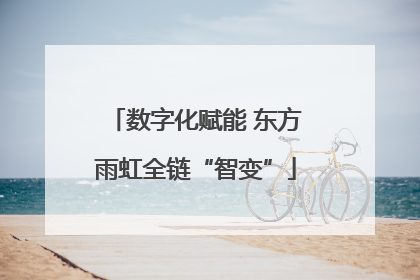 数字化赋能 东方雨虹全链“智变”