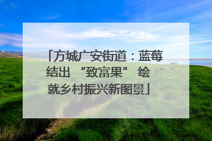 方城广安街道：蓝莓结出 “致富果” 绘就乡村振兴新图景
