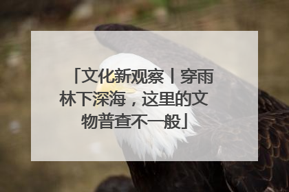 文化新观察丨穿雨林下深海，这里的文物普查不一般