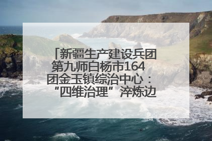 新疆生产建设兵团第九师白杨市164团金玉镇综治中心：“四维治理”淬炼边疆“枫桥样本”