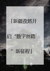 新疆孜然开启“数字丝路”新征程