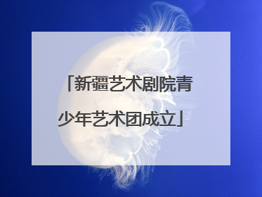 新疆艺术剧院青少年艺术团成立