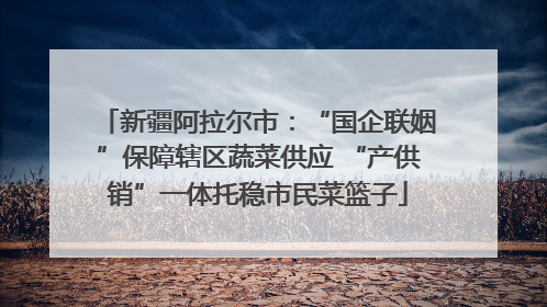 新疆阿拉尔市：“国企联姻”保障辖区蔬菜供应 “产供销”一体托稳市民菜篮子